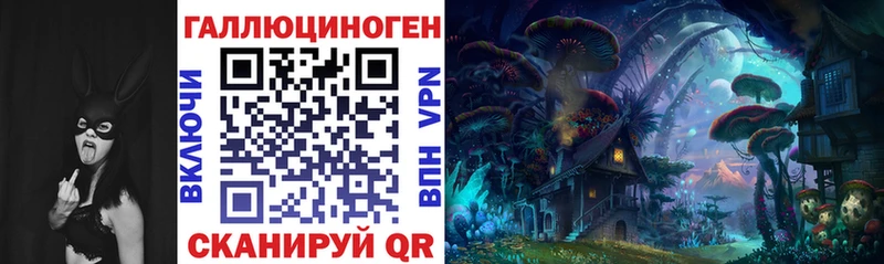 Галлюциногенные грибы Psilocybine cubensis  Краснознаменск 